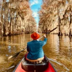 من المزرعة إلى المائدة: استكشاف الأكل الموسمي